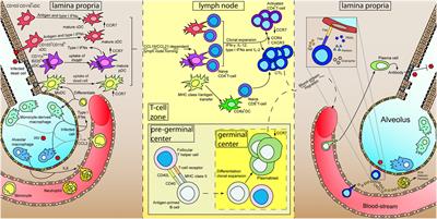 Advancements in Host-Based Interventions for Influenza Treatment